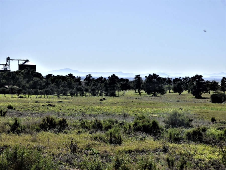 0 Bedroom Property for Sale in Darling Western Cape